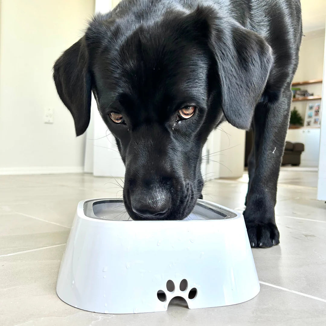 Fluffy Tailâ„¢ Zero Splash Dog Water Bowl